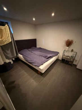 Hel lejlighed med 3 værelser